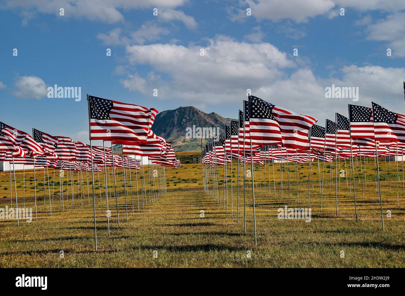 Drapeaux sur le site du cimetière où George Armstrong Custer et ses soldats ont été enterrés après avoir été essuyés au Little Bighorn, Montana Banque D'Images