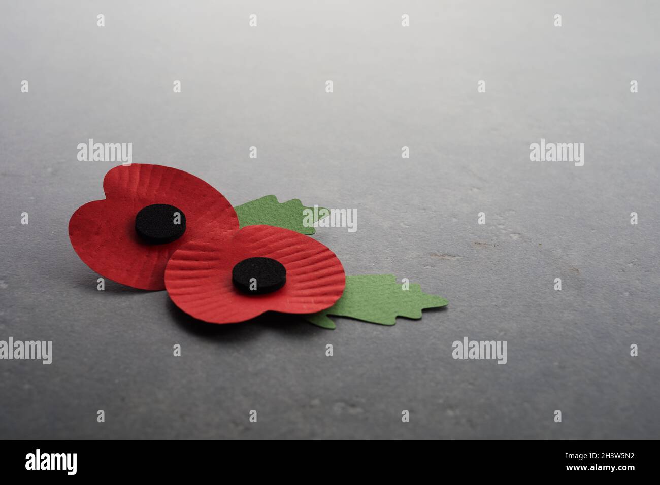 Pièce Souvenir Jour Du Souvenir Coquelicot - D-Day, Or, Collection
