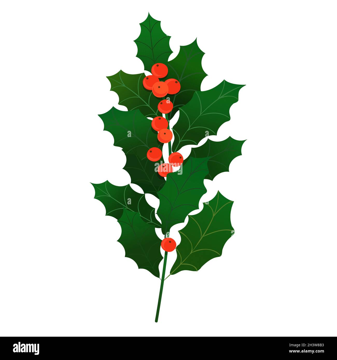Branche de houx de Noël avec baies rouges.Décoration vectorielle de Noël élément clipart avec branche elex et baies rouges.Éclairement dans isolé sur blanc Illustration de Vecteur