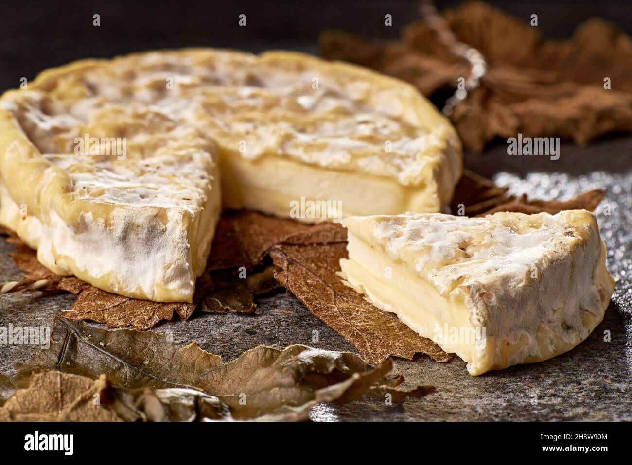 Fromage Banon non enveloppé de feuilles de raisin Banque D'Images