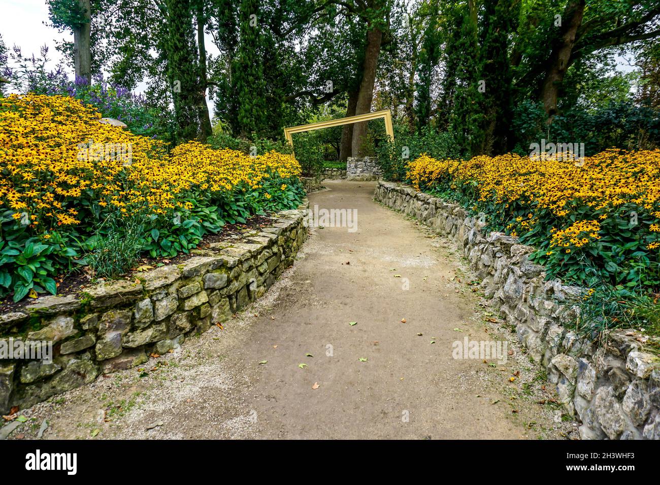 Allée bordée de murs en pierre et pleine de fleurs jaunes qui traverse le milieu de la forêt Banque D'Images