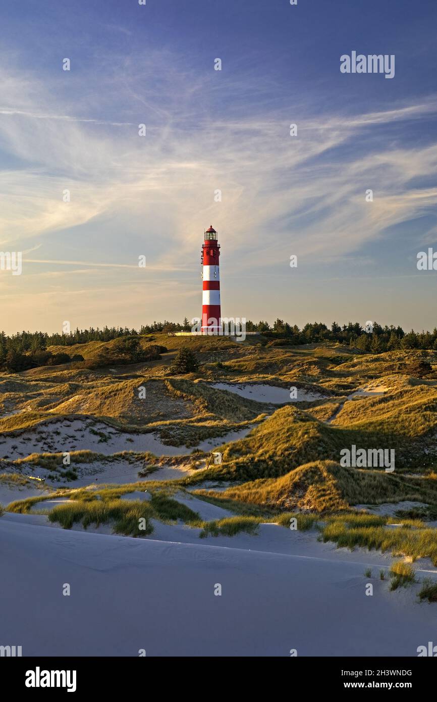 Dunes dans la lumière du soir avec le phare, l'île d'Amrum, Schleswig Holstein, Allemagne, Europe Banque D'Images