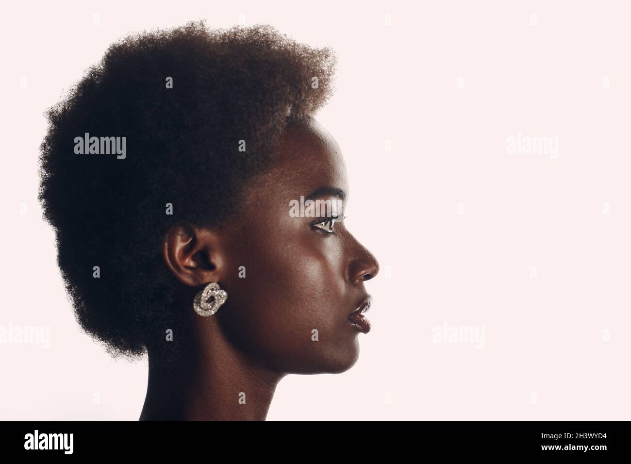 Gros plan portrait d'une femme afro-américaine avec une coiffure afro-américaine sur fond blanc de studio Banque D'Images