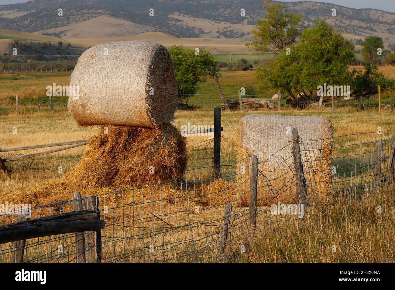 Balles de foin sur un ranch dans l'ouest des États-Unis Banque D'Images