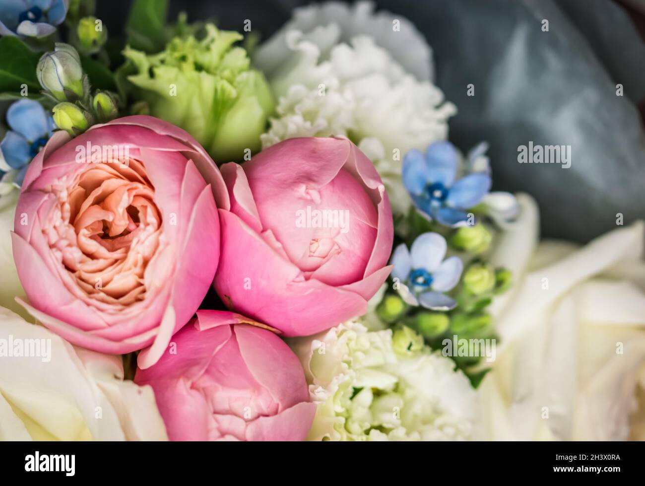 Magnifique bouquet de fleurs aux couleurs pastel. Décoration de roses et plantes décoratives, foyer sélectif Banque D'Images