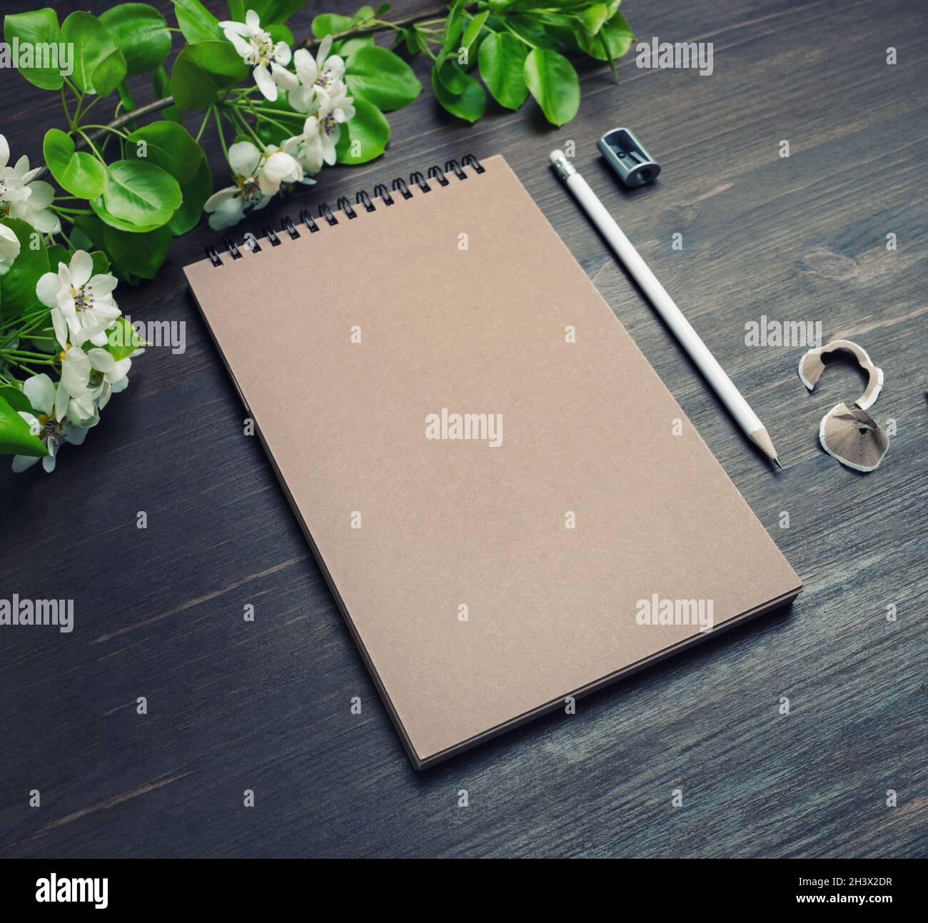 Maquette de la papeterie de marque Banque D'Images