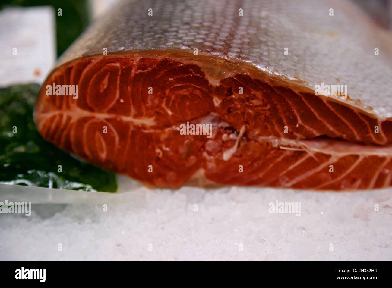 Poissons rouges glacés de la mer et de l'océan sur un gros plan.Supermarché de poissons.Une grande variété de poissons.Photo de haute qualité Banque D'Images