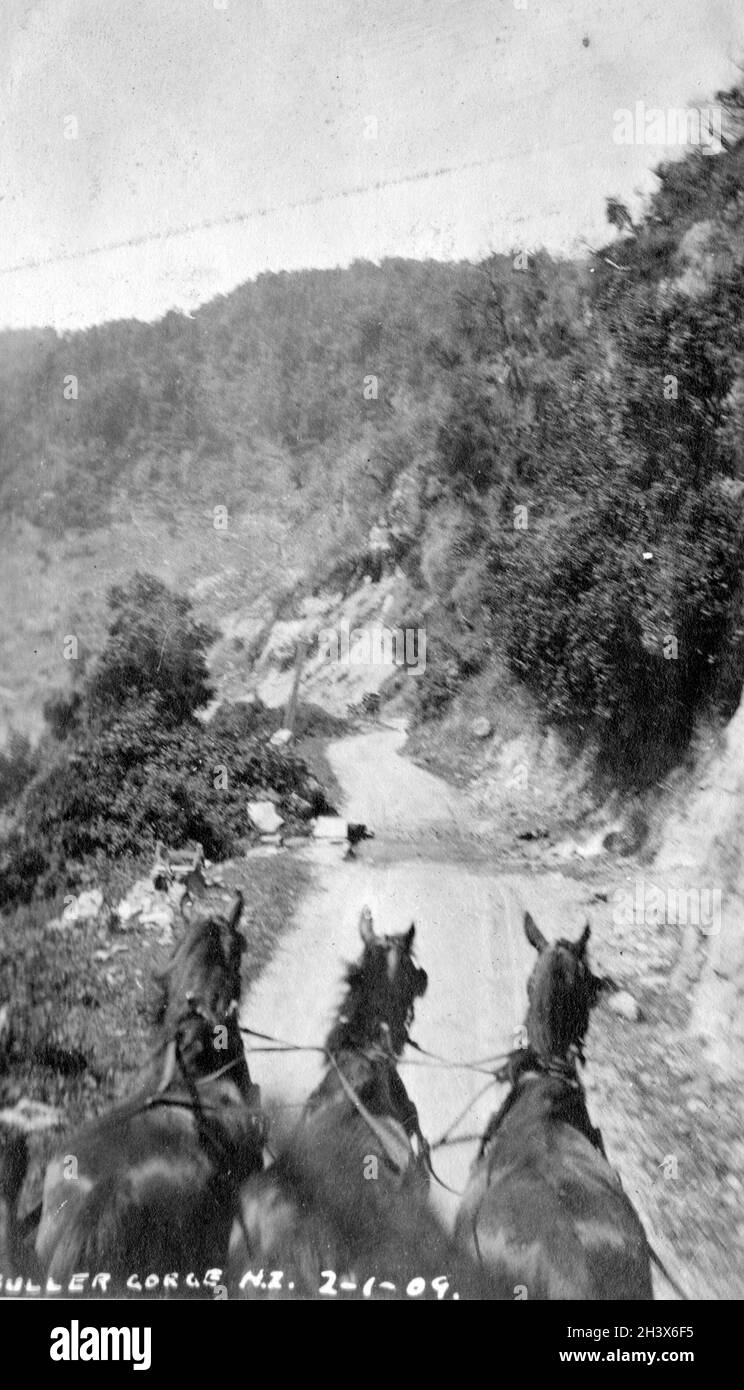 Vue depuis la stagecoach, Buller gorge Road, Nouvelle-Zélande, 1909 Banque D'Images