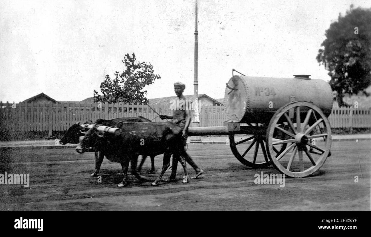 La nouvelle technologie repose sur l'ancienne technologie, car un boeufs tire ce qui semble être un réservoir de carburant au Sri Lanka, 1909. Banque D'Images