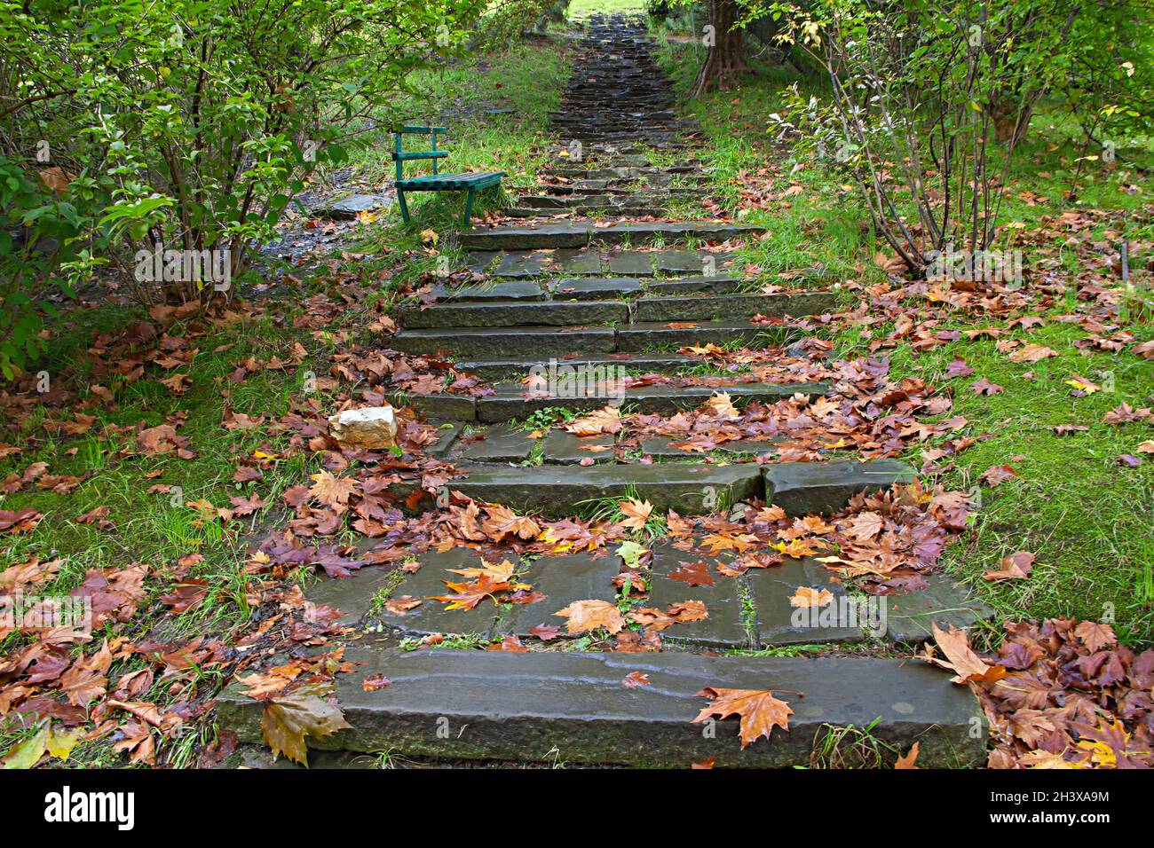 Vue rapprochée des escaliers en pierre couverts de feuilles et de mousses d'automne et d'arbres secs dans un parc Banque D'Images
