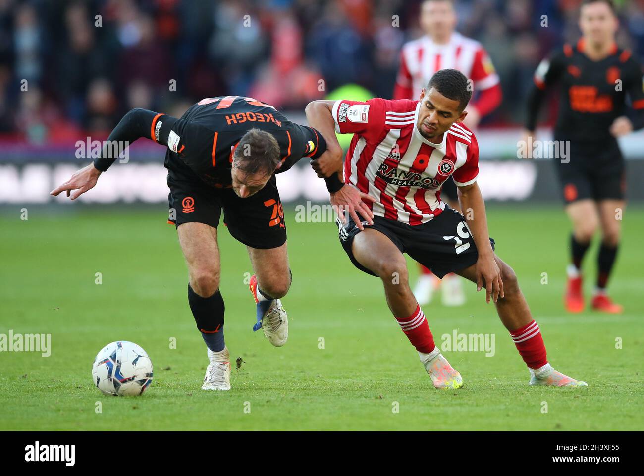 Sheffield, Angleterre, le 30 octobre 2021.Richard Keogh, de Blackpool, se trouve aux défenses de Lliman Ndiaye, de Sheffield Utd, lors du match du championnat Sky Bet à Bramall Lane, Sheffield.Le crédit photo devrait se lire comme suit : Simon Bellis/ Sportimage Banque D'Images