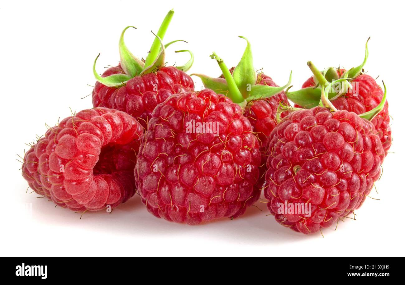 Bouquet de framboises fraîches isolées sur fond blanc.Baies de fruits en gros plan. Banque D'Images