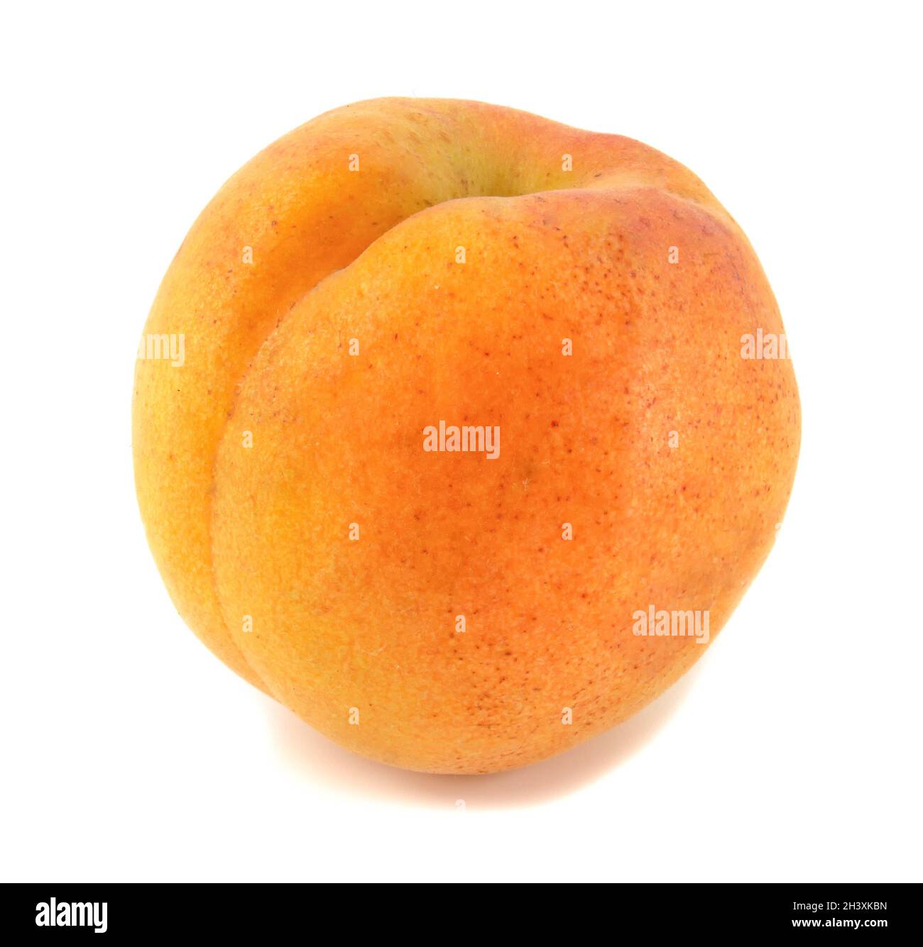 Abricot isolé sur fond blanc.Gros plan sur les fruits. Banque D'Images