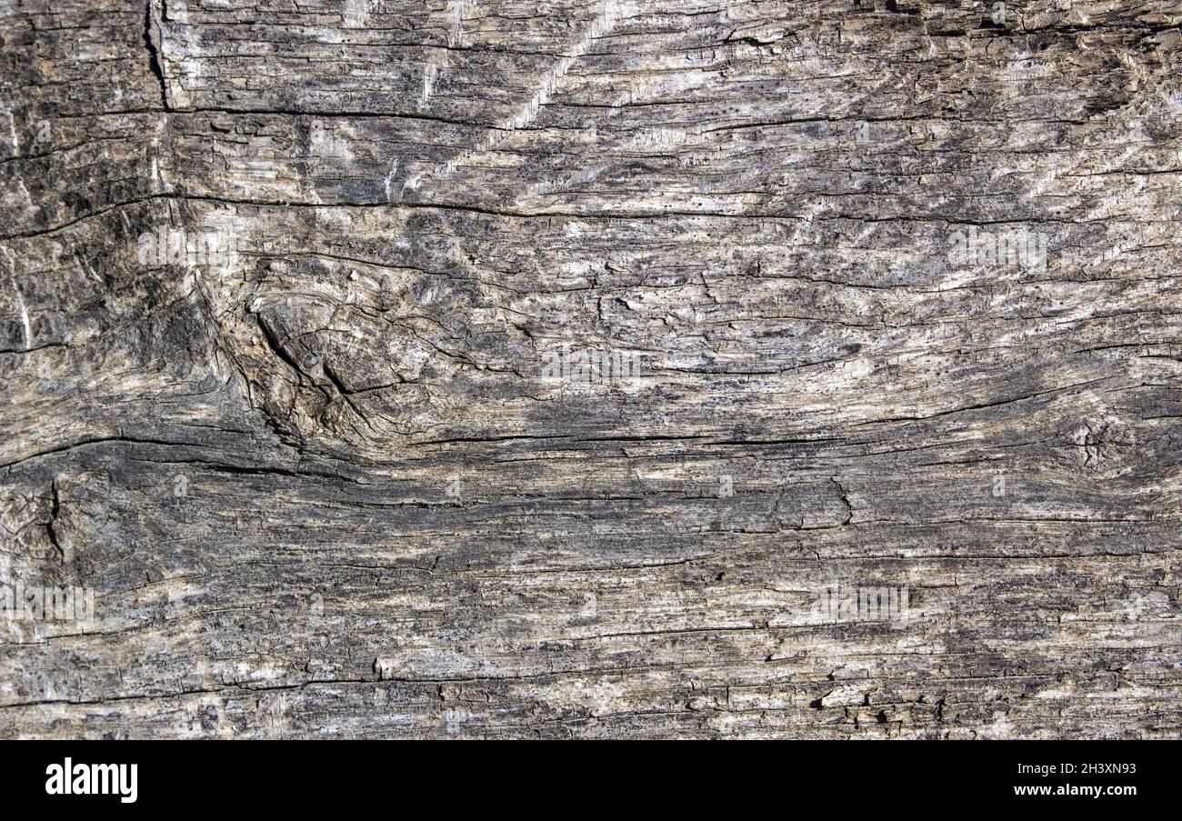 Ancienne texture bois Grunge rétro panneau en bois vintage Dusty arrière-plan. Banque D'Images