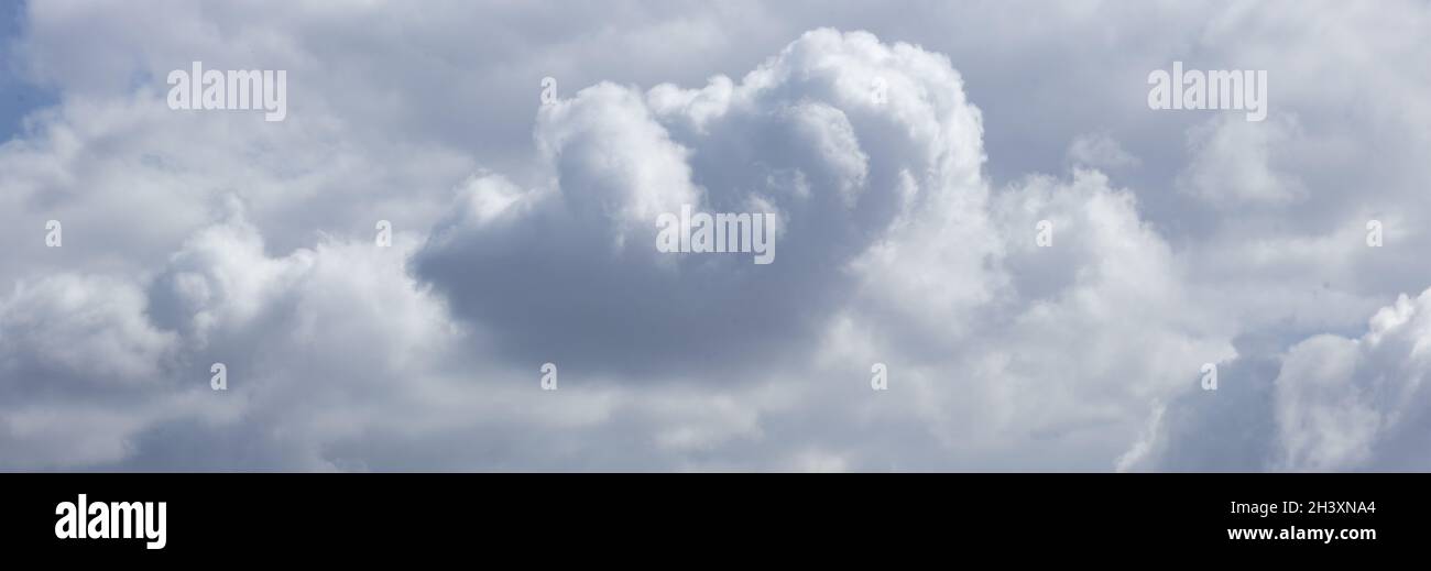 Panorama de nuages gris épais et moelleux dans le ciel. Banque D'Images