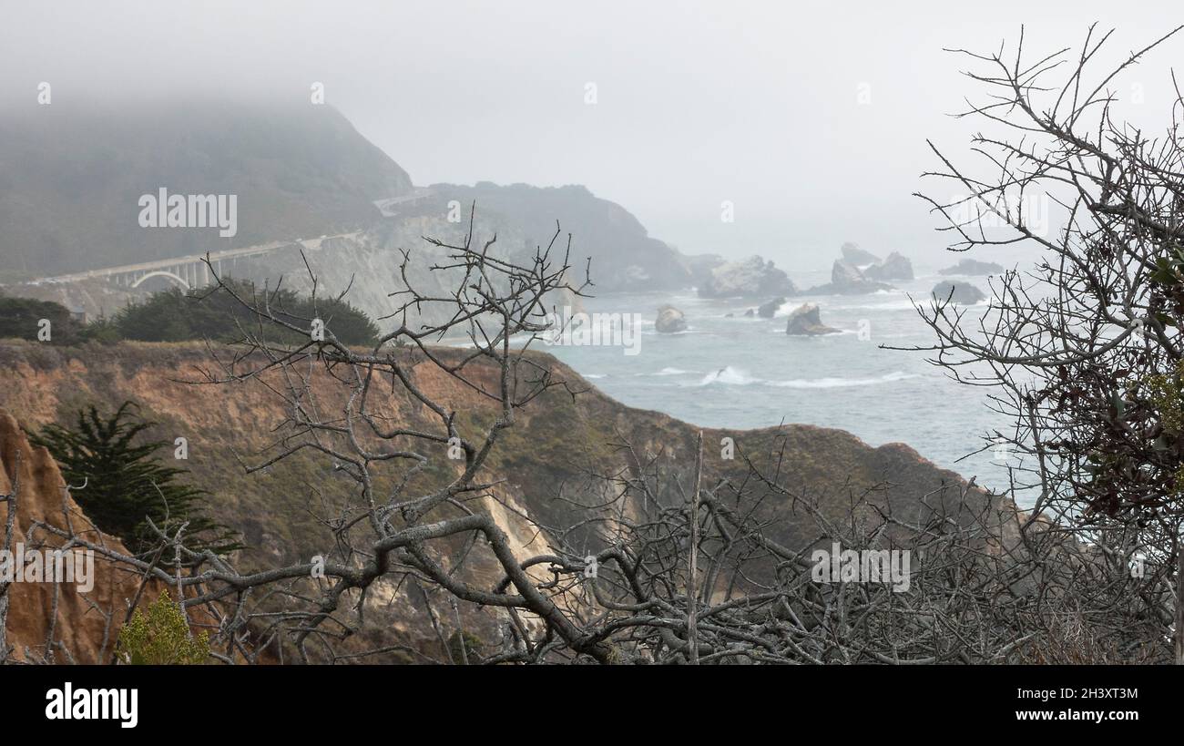 Une journée brumeuse dans la région de Big sur, sur la côte californienne, aux États-Unis Banque D'Images
