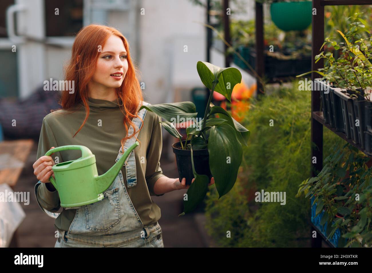 Concept de jardinage à la maison.Jeune femme arroser des plantes florales en serre. Banque D'Images
