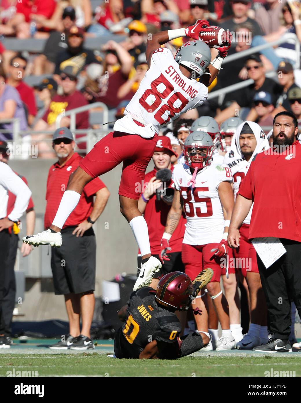 Tempe, Arizona, États-Unis.30 octobre 2021. Le grand récepteur de'Zhaun Stribling (88) des Cougars de l'État de Washington fait une prise entre les Cougars de l'État de Washington et les Sun Devils de l'État d'Arizona au Sun Devil Stadium à Tempe, Arizona.Michael Cazares/Cal Sport Media.Crédit : csm/Alay Live News Banque D'Images