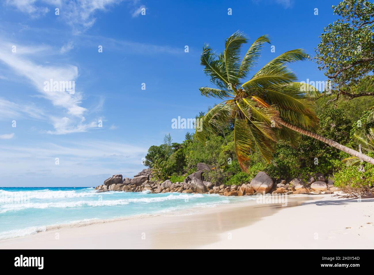 Seychelles Anse Georgette Beach sur l'île de Praslin avec la mer des palmiers Seychelles Banque D'Images