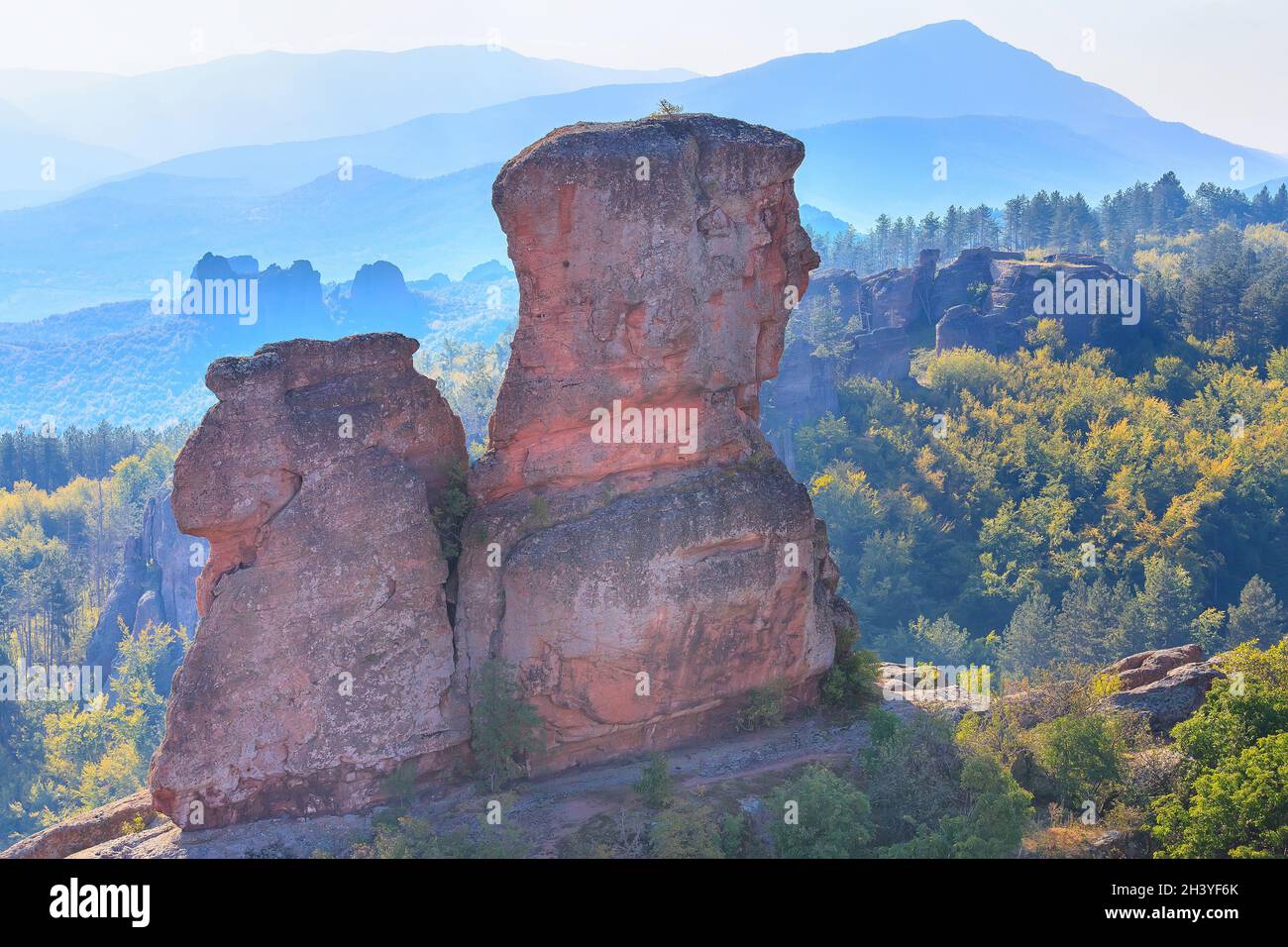 Falaises de près, Belogradchik, Bulgarie Banque D'Images