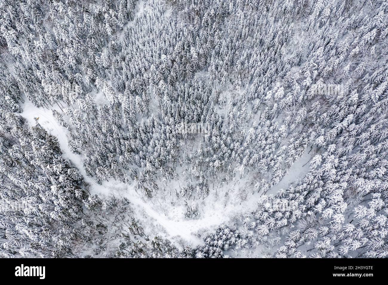 Hiver neige forêt arbres arbre saison froide photo aérienne fond Banque D'Images