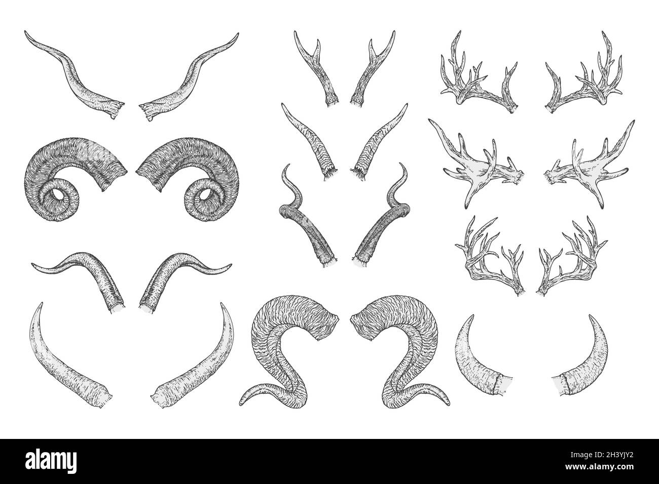 Ensemble vectoriel d'animaux dessinés à la main cornes sur fond blanc.Illustration de l'esquisse.Image monochrome.Pour vous concevoir, tatouage ou artisanat magique moderne. Illustration de Vecteur Ensemble vectoriel d'animaux dessinés à la main cornes sur fond blanc.Illustration de l'esquisse.Image monochrome.Pour vous concevoir, tatouage ou artisanat magique moderne. Illustration de Vecteur