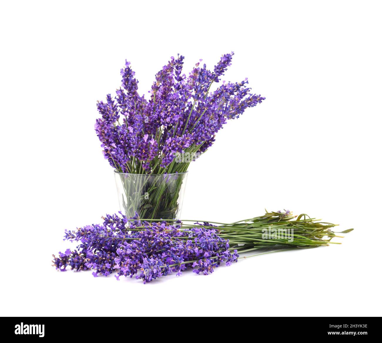 Magnifique bouquet de lavande violette Photo Stock - Alamy