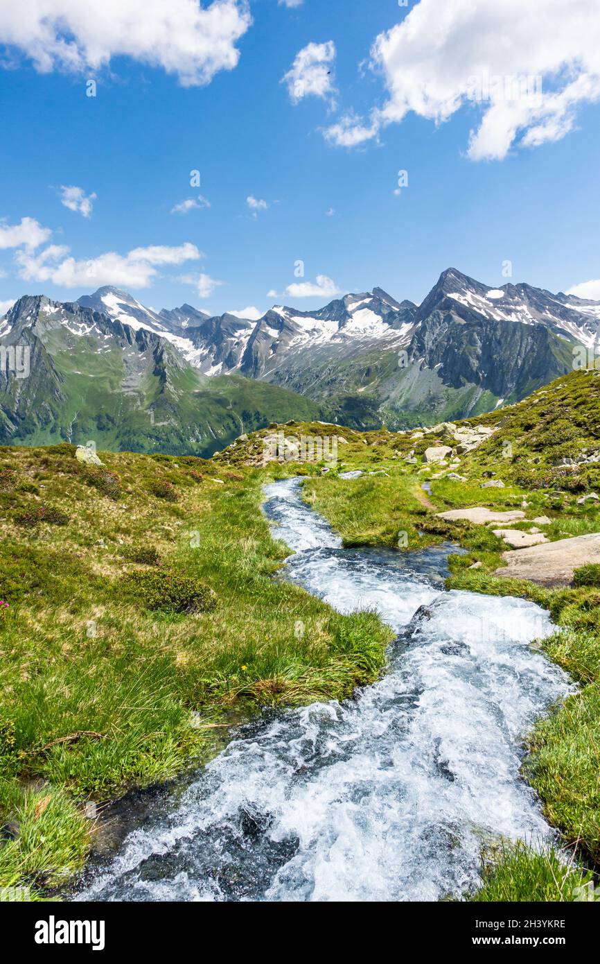 Torrent dans le biotope de Wieser Werfer Moos près de Pretttttttau dans la vallée d'Ahrntal, Tyrol du Sud, Italie Banque D'Images