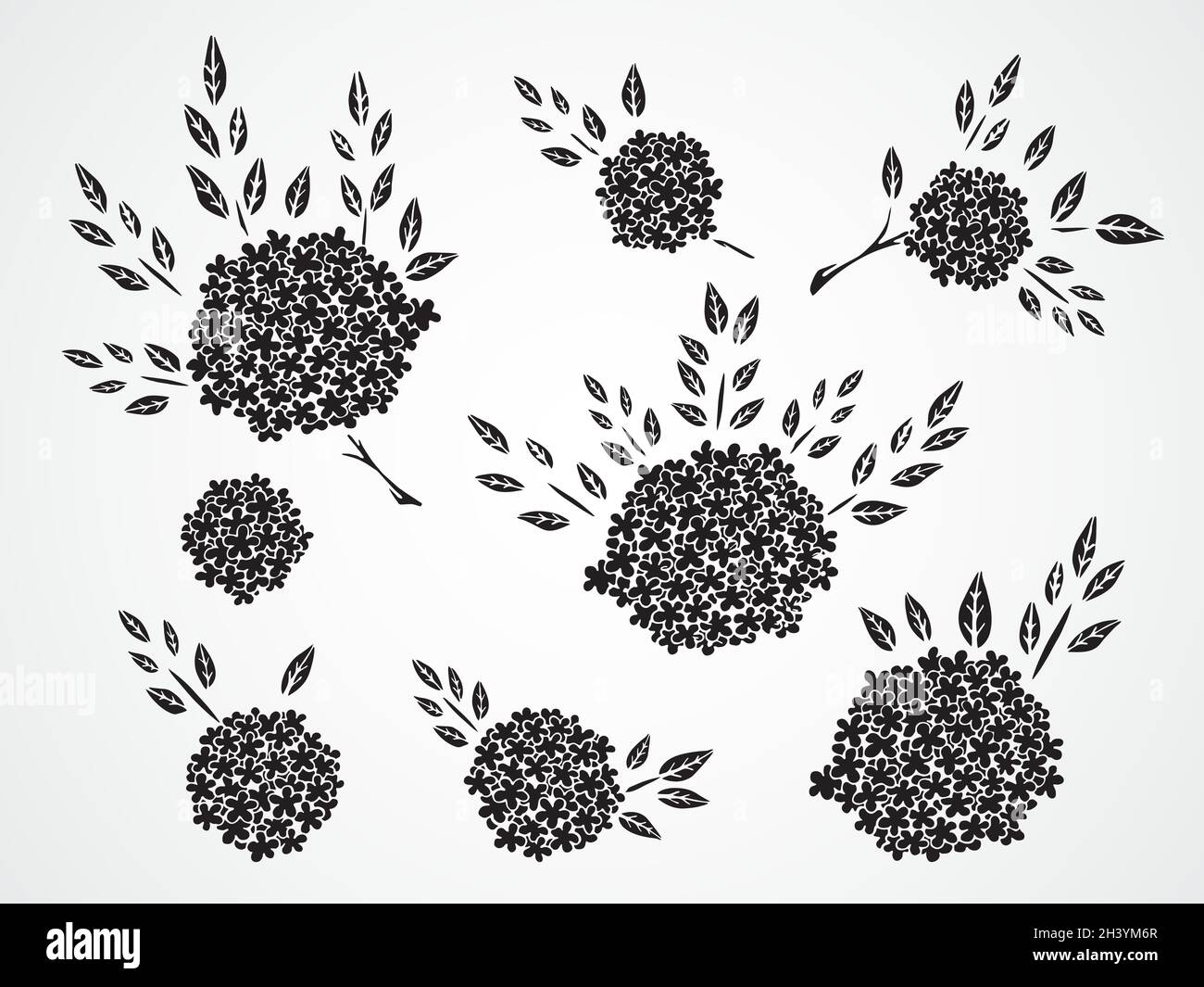 Ensemble vectoriel de silhouettes noires fleurs, branches et feuilles dessinées à la main. Illustration de Vecteur