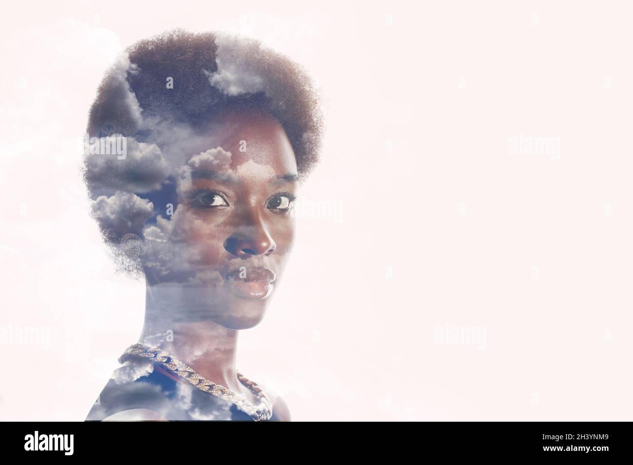 Gros plan portrait d'une femme afro-américaine avec une coiffure afro-américaine sur fond blanc de studio Banque D'Images