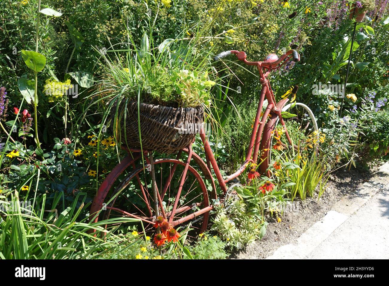 Bicycle avec plantes Banque D'Images