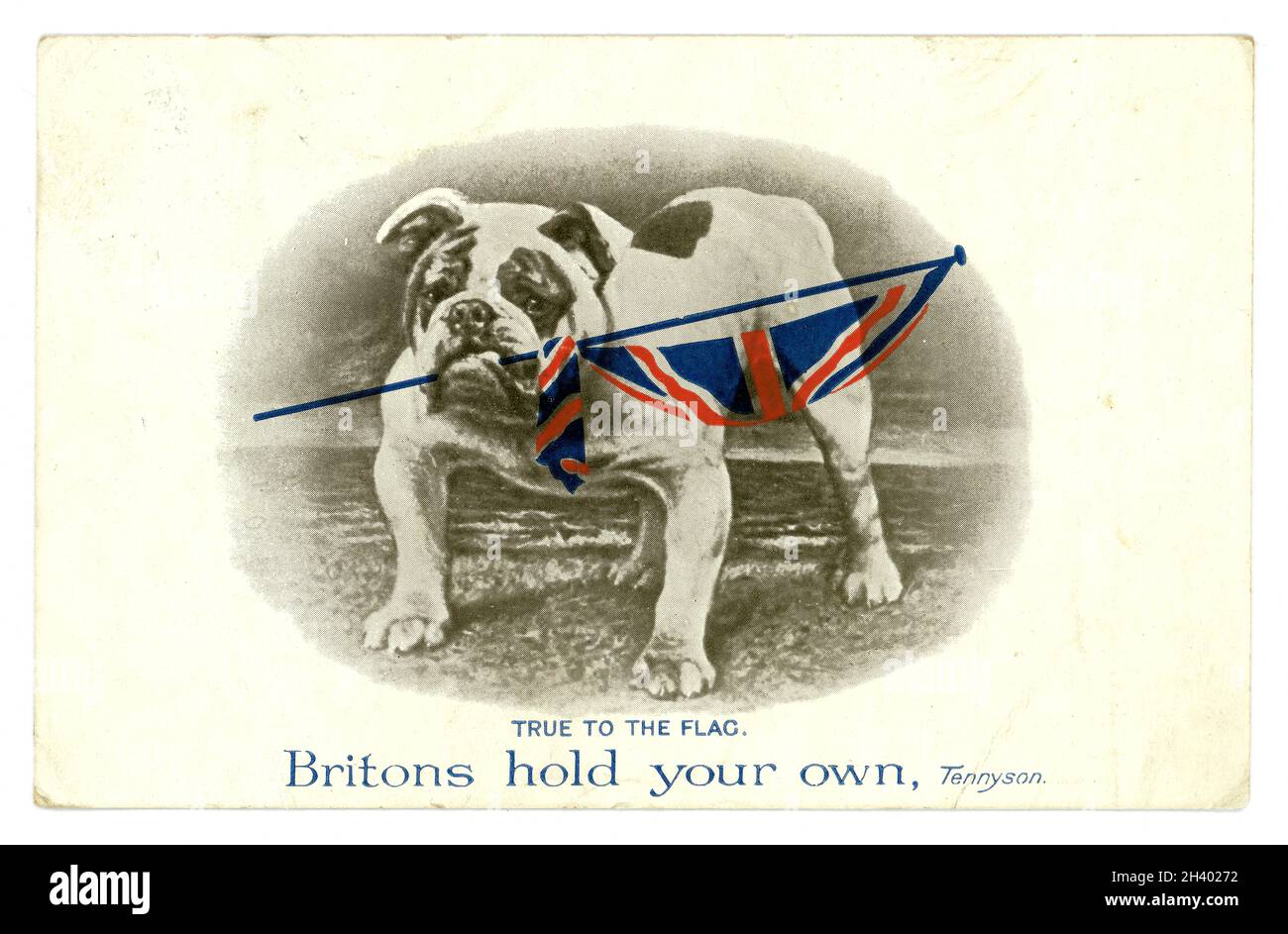 Carte postale originale de l'époque de la première Guerre mondiale de boudogue tenant un drapeau de l'Union Jack, fidèle au drapeau, citation de Tennyson les Britanniques tiennent votre propre, par C.W.Faulkner & Co.Ltd London série 1458, publié en 1914. Banque D'Images