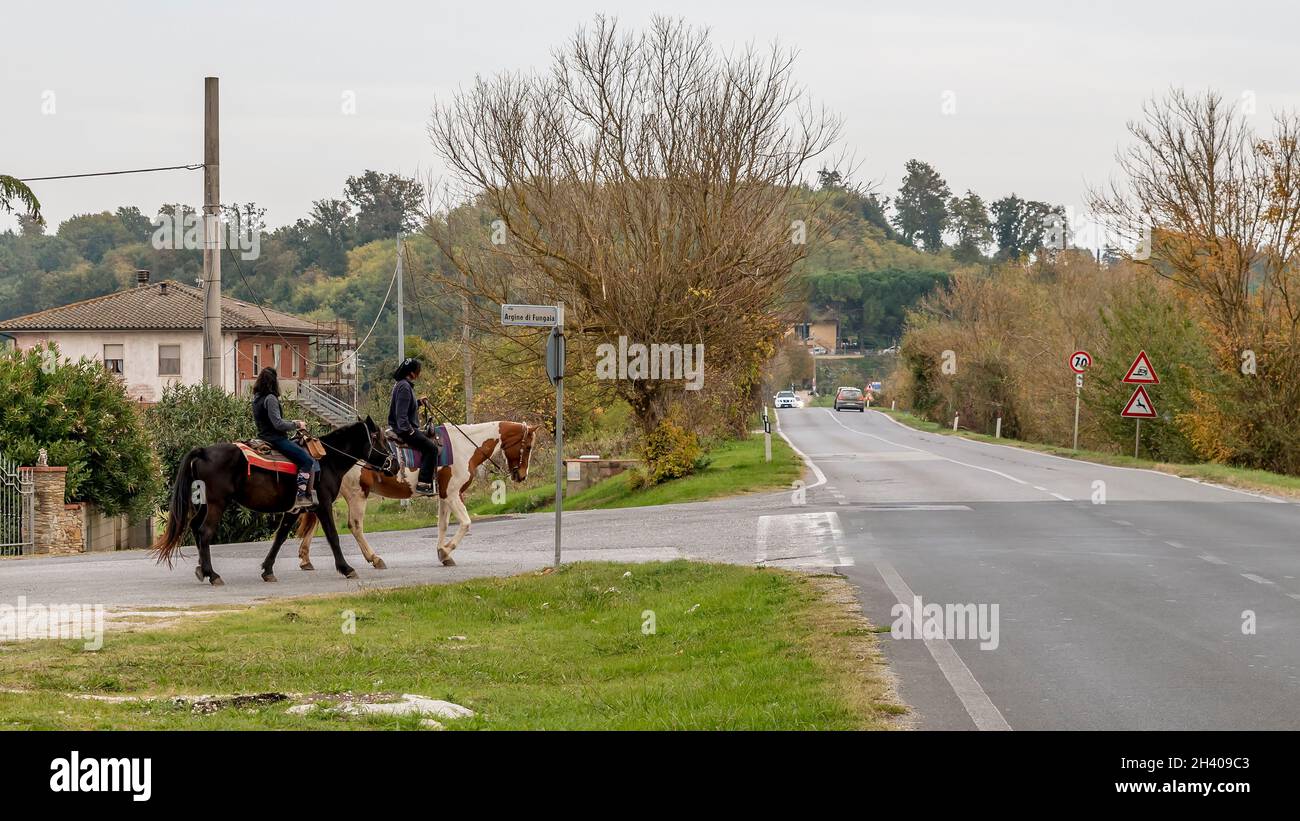 Deux femmes à cheval doivent traverser une route asphaltée très fréquentée, Bientina, Italie Banque D'Images