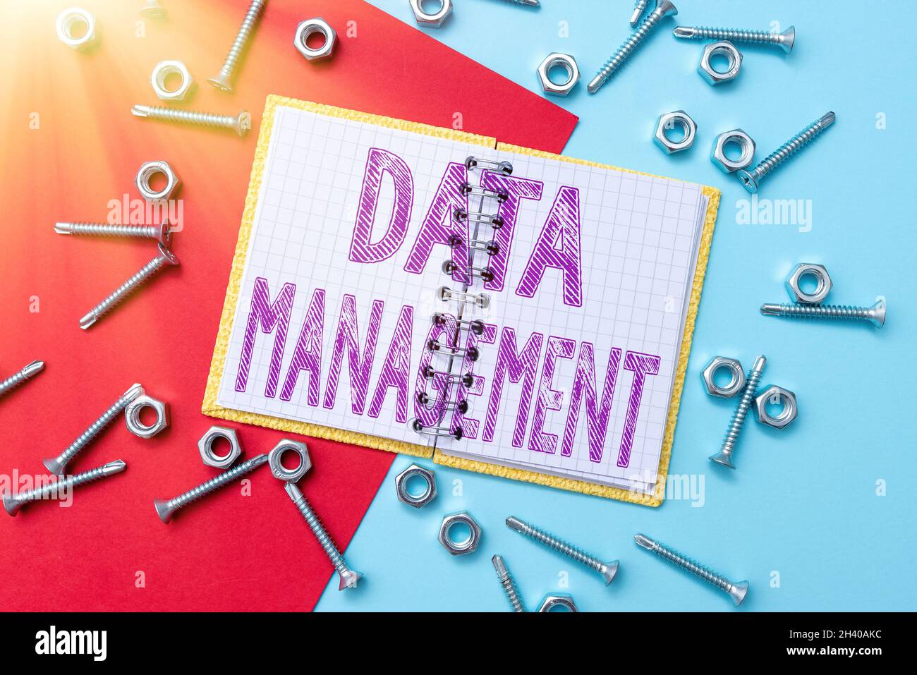 Légende conceptuelle gestion des données.Les disciplines de l'idée d'entreprise liées à la gestion des données comme ressource précieuse atelier Maintenan Banque D'Images