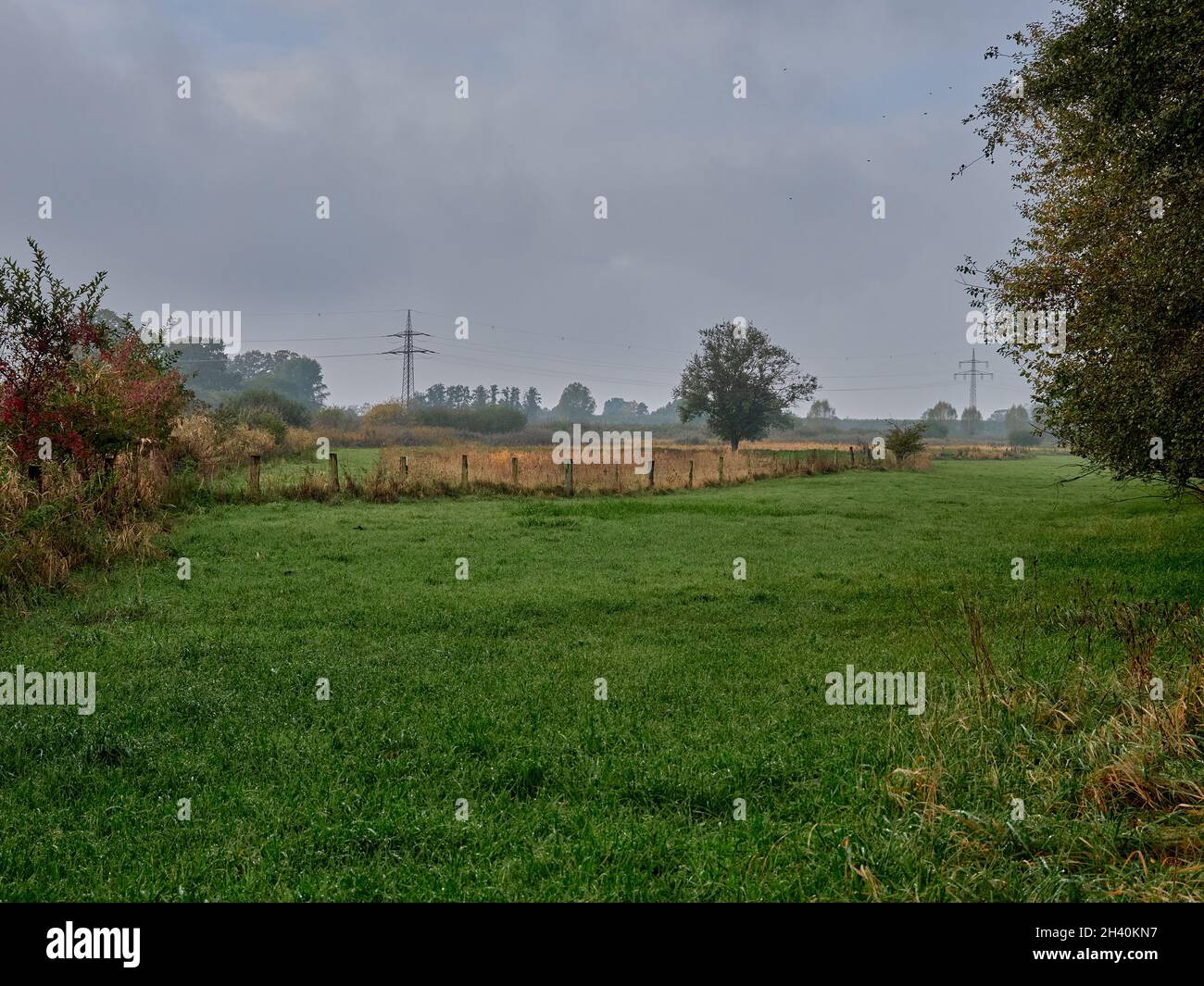 Un pylônes haute tension dans la nature Banque D'Images