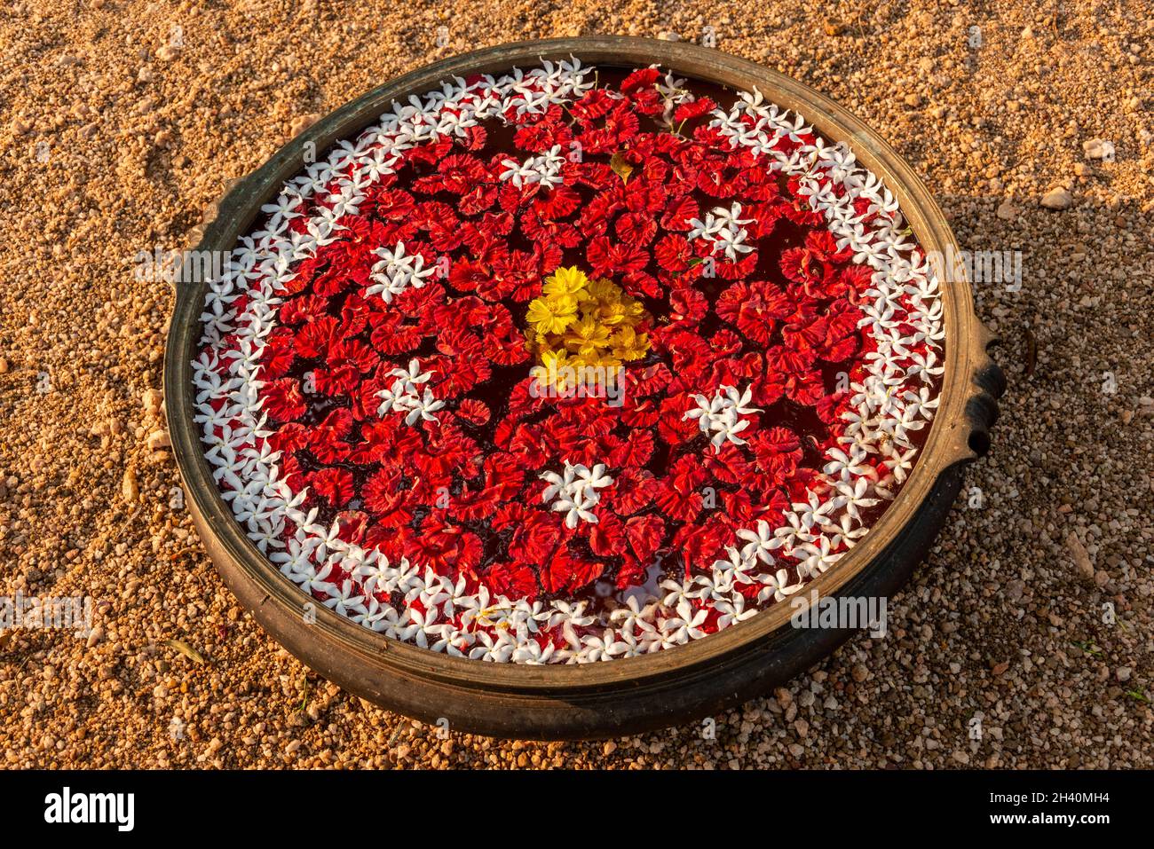Une exposition florale indienne traditionnelle de boutons de fleurs  hibiscus cosmos dans un grand pot rempli d'eau.Le présentoir est utilisé  comme un « accueil » pour les visiteurs Photo Stock - Alamy