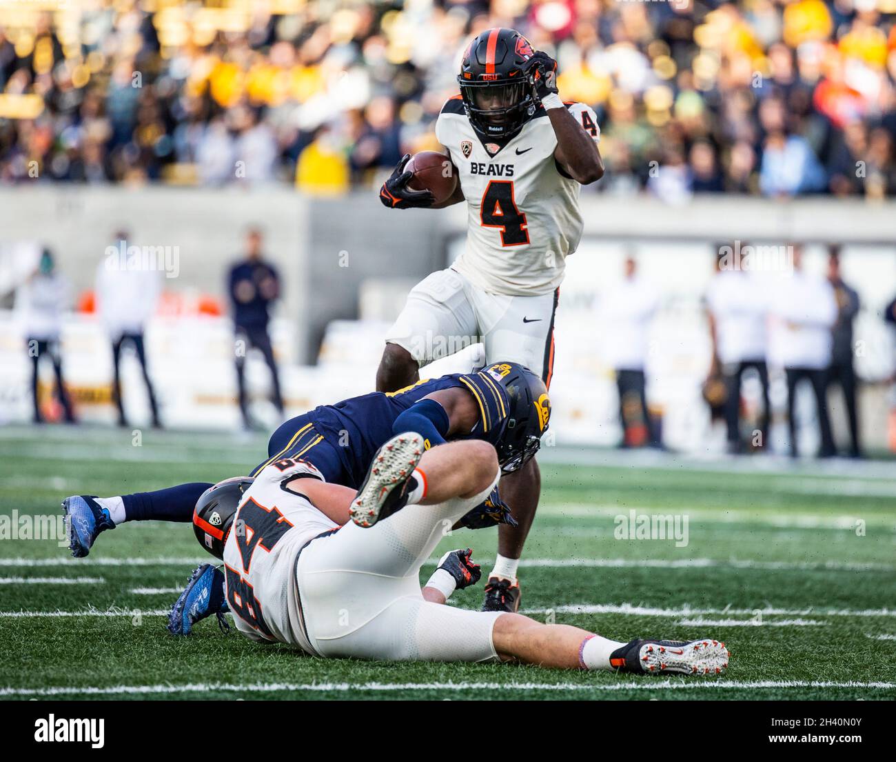 Berkeley, CA États-Unis 30 octobre 2021.A. État de l'Oregon en marche arrière B.J.Baylor (4) court pour la première fois pendant le match de football NCAA entre les castors de l'État de l'Oregon et les ours d'or de Californie.La Californie a gagné 39-25 au FTX Field au California Memorial Stadium.Thurman James/CSM/Alamy Live News Banque D'Images