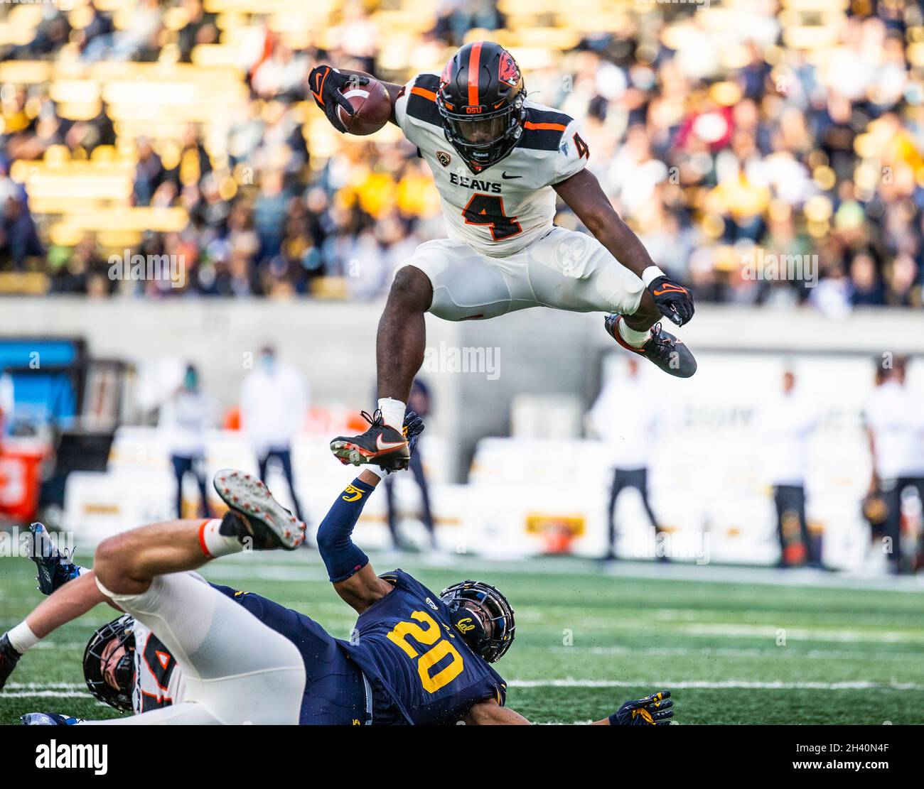 Berkeley, CA États-Unis 30 octobre 2021.A. État de l'Oregon en marche arrière B.J.Baylor (4) court pour la première fois pendant le match de football NCAA entre les castors de l'État de l'Oregon et les ours d'or de Californie.La Californie a gagné 39-25 au FTX Field au California Memorial Stadium.Thurman James/CSM/Alamy Live News Banque D'Images
