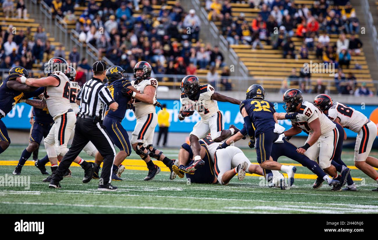 Berkeley, CA États-Unis 30 octobre 2021.A. État de l'Oregon en marche arrière B.J.Baylor (4) court pour la première fois pendant le match de football NCAA entre les castors de l'État de l'Oregon et les ours d'or de Californie.La Californie a gagné 39-25 au FTX Field au California Memorial Stadium.Thurman James/CSM/Alamy Live News Banque D'Images