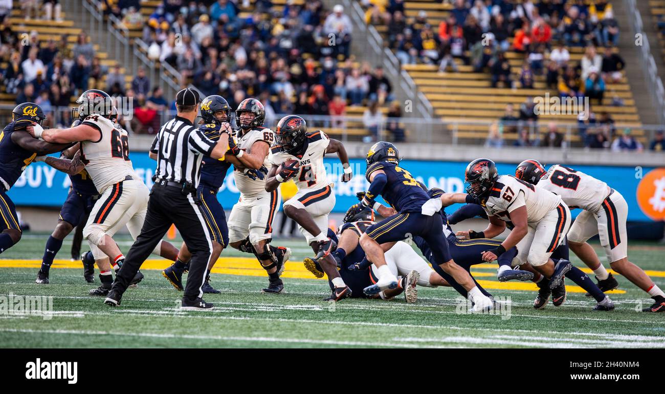 Berkeley, CA États-Unis 30 octobre 2021.A. État de l'Oregon en marche arrière B.J.Baylor (4) court pour la première fois pendant le match de football NCAA entre les castors de l'État de l'Oregon et les ours d'or de Californie.La Californie a gagné 39-25 au FTX Field au California Memorial Stadium.Thurman James/CSM/Alamy Live News Banque D'Images