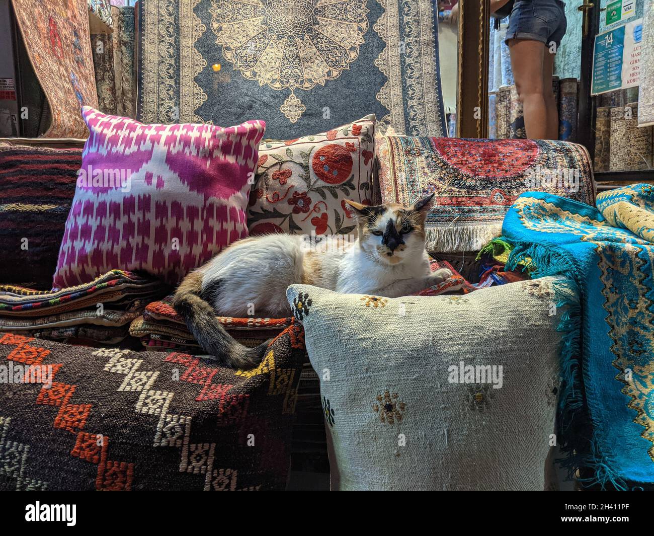 ISTANBUL, TURQUIE - 9 AOÛT 2021 : chat errant debout sur des oreillers traditionnels et des tapis turcs à l'entrée d'une boutique de tissus en t Banque D'Images