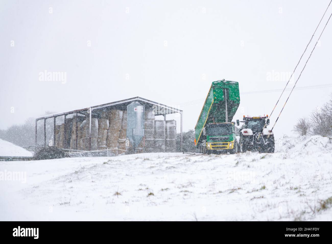 Woodbridge Suffolk Royaume-Uni février 07 2021: Les ouvriers agricoles qui tentent de faire une livraison tout en luttant contre une tempête de neige et un blizzard Banque D'Images