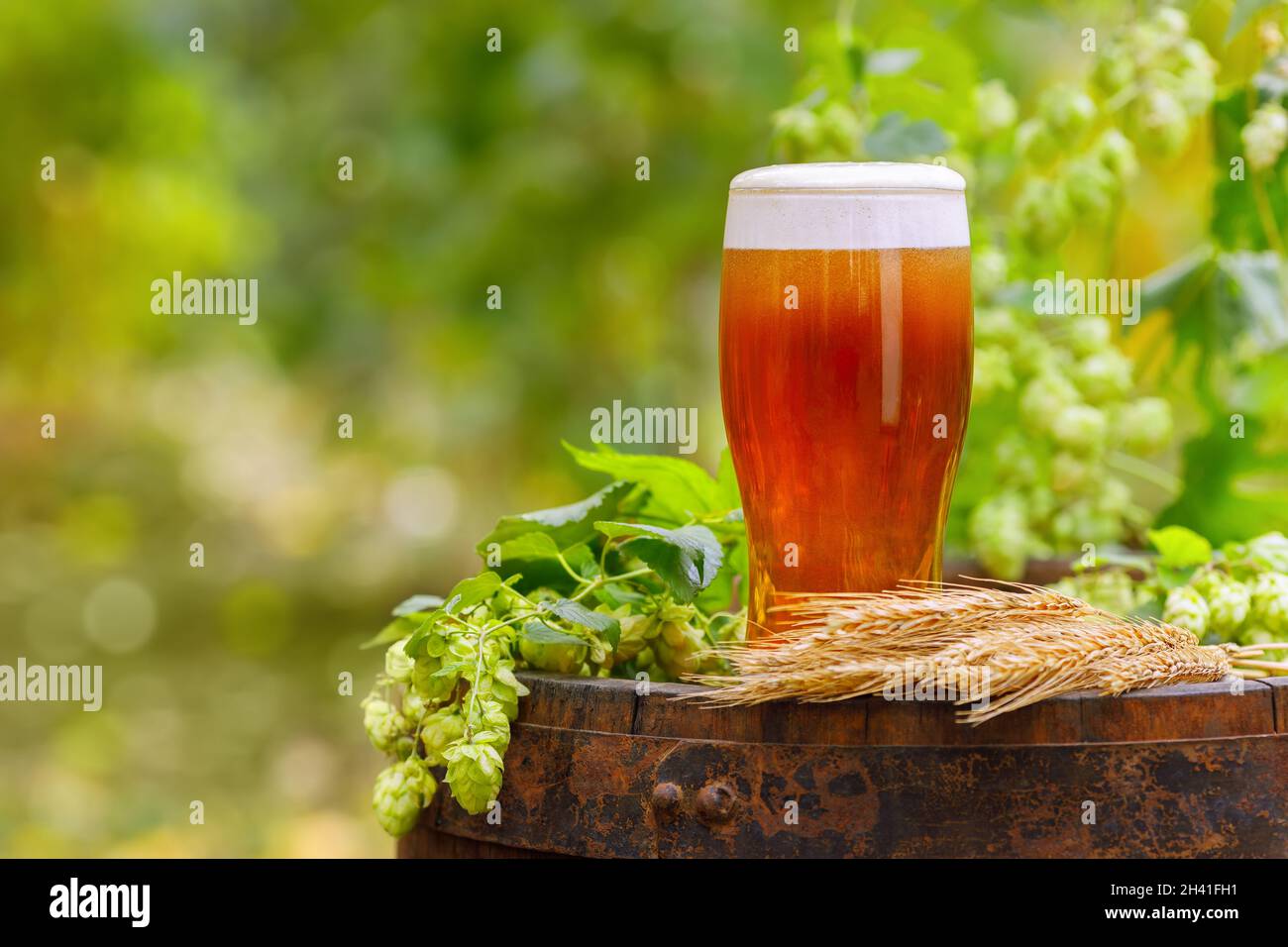 verre de bière avec oreilles de blé et cônes de houblon Banque D'Images