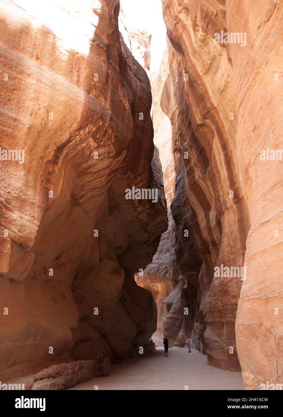 Le Siq, Petra, la Jordanie, le Moyen-Orient. Canyon, formation rocheuse permettant le passage vers la « ville cachée » de Petra. Banque D'Images