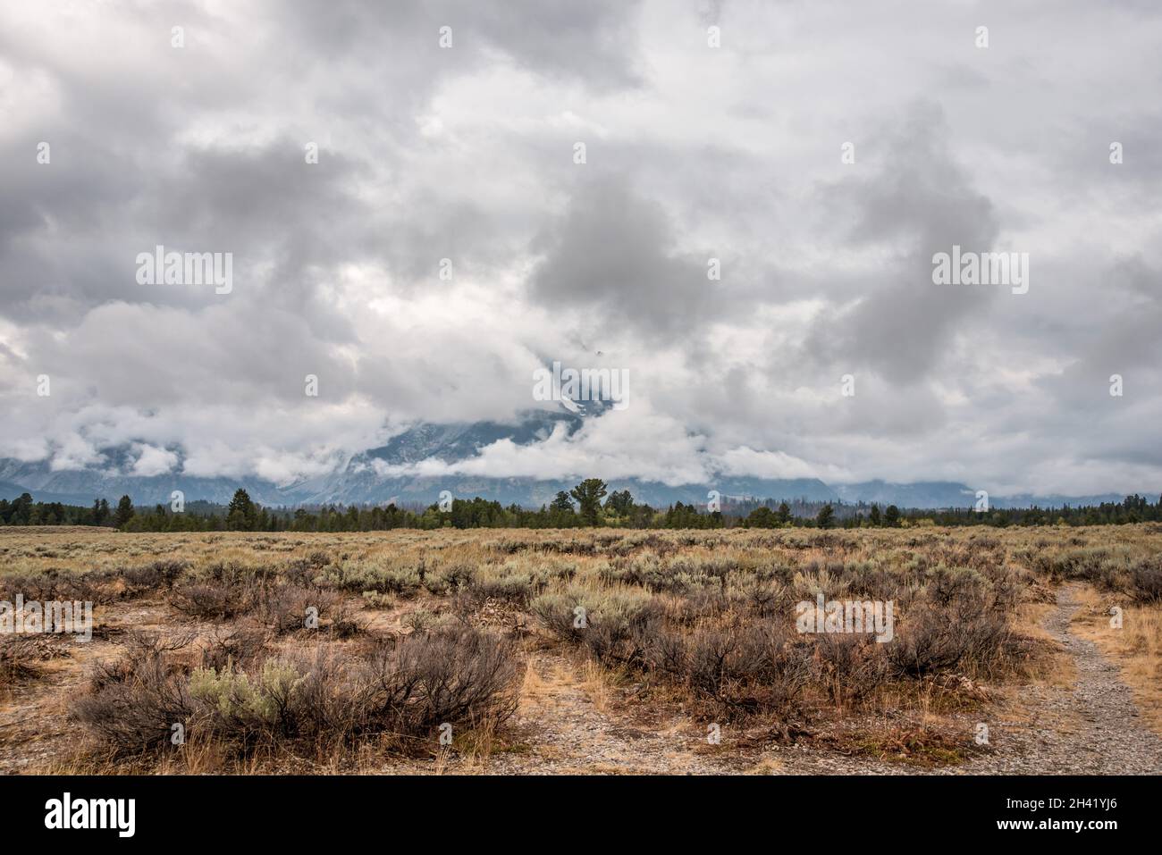 Vue panoramique sur la chaîne de montagnes de Grand Teton dans le Wyoming, aux États-Unis Banque D'Images
