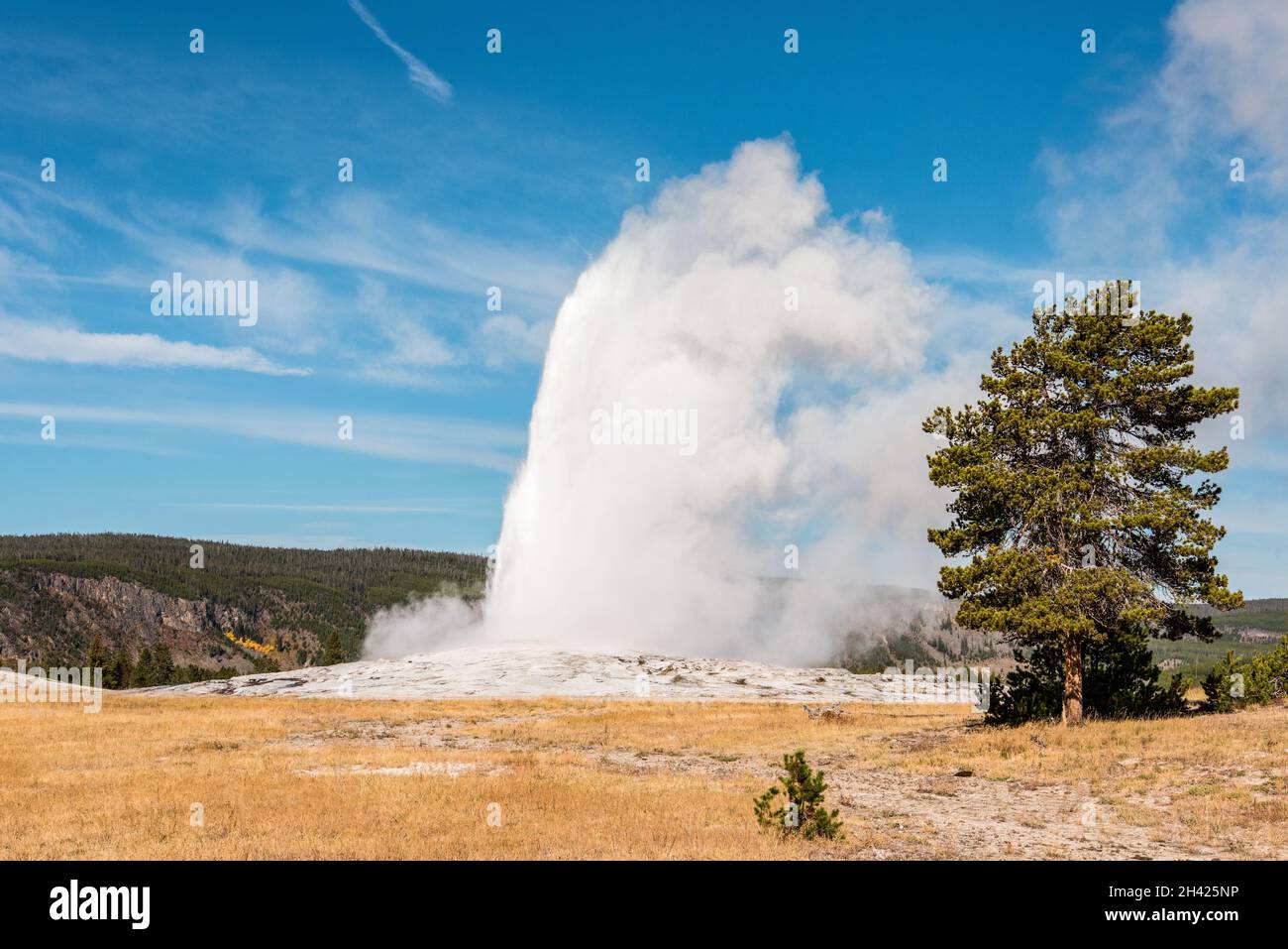 Célèbre geyser Old Faithful, parc national de Yellowstone, États-Unis Banque D'Images