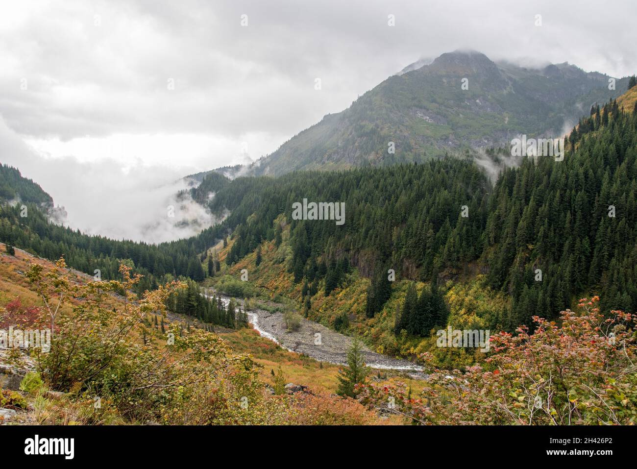 Magnifique paysage de montagne autour du parc national du Mont Rainier, États-Unis Banque D'Images