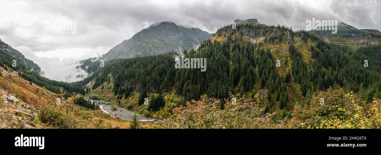 Magnifique paysage de montagne autour du parc national du Mont Rainier, États-Unis Banque D'Images