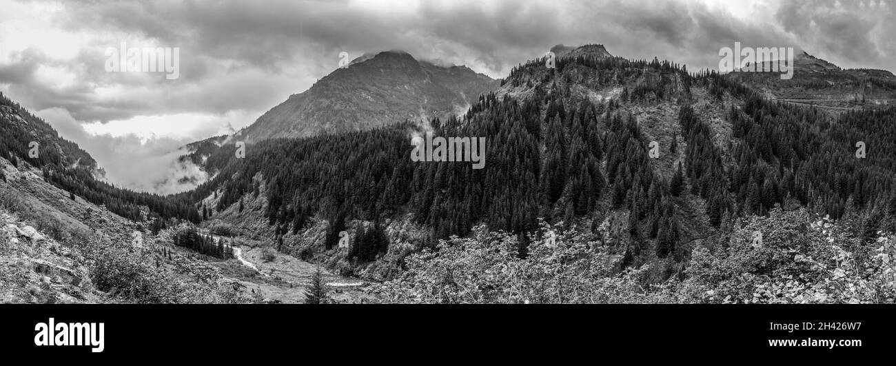 Magnifique paysage de montagne autour du parc national du Mont Rainier, États-Unis Banque D'Images