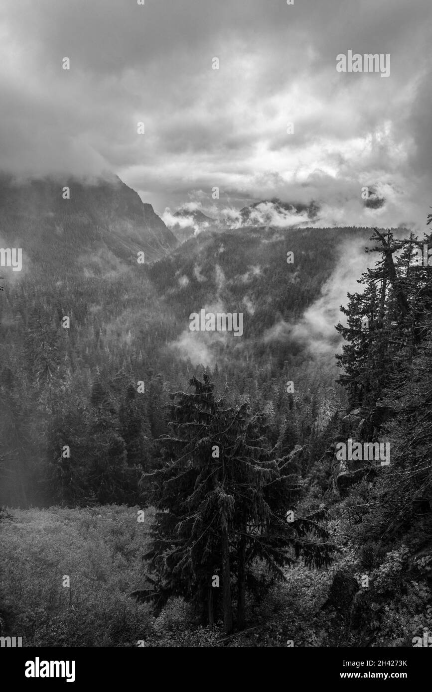Magnifique paysage de montagne autour du parc national du Mont Rainier, États-Unis Banque D'Images